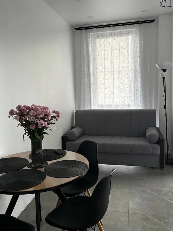 Квартира Квартира Уютная студия в районе Олимпийского парка — Сириус