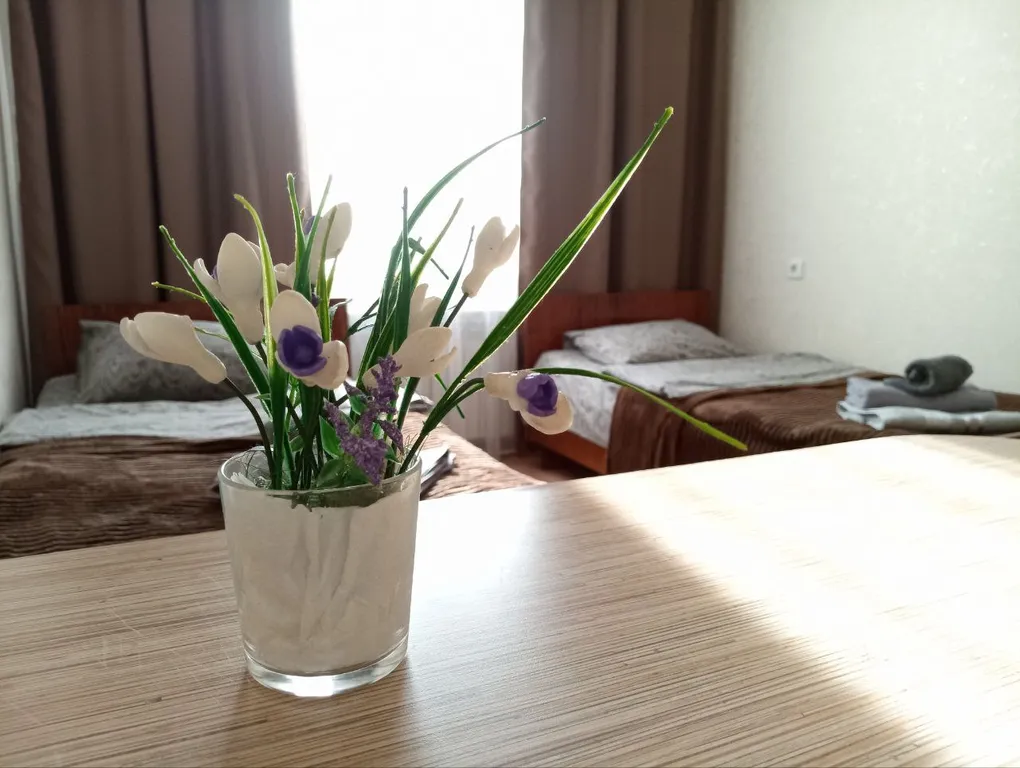 Студия-эконом по улице Заря