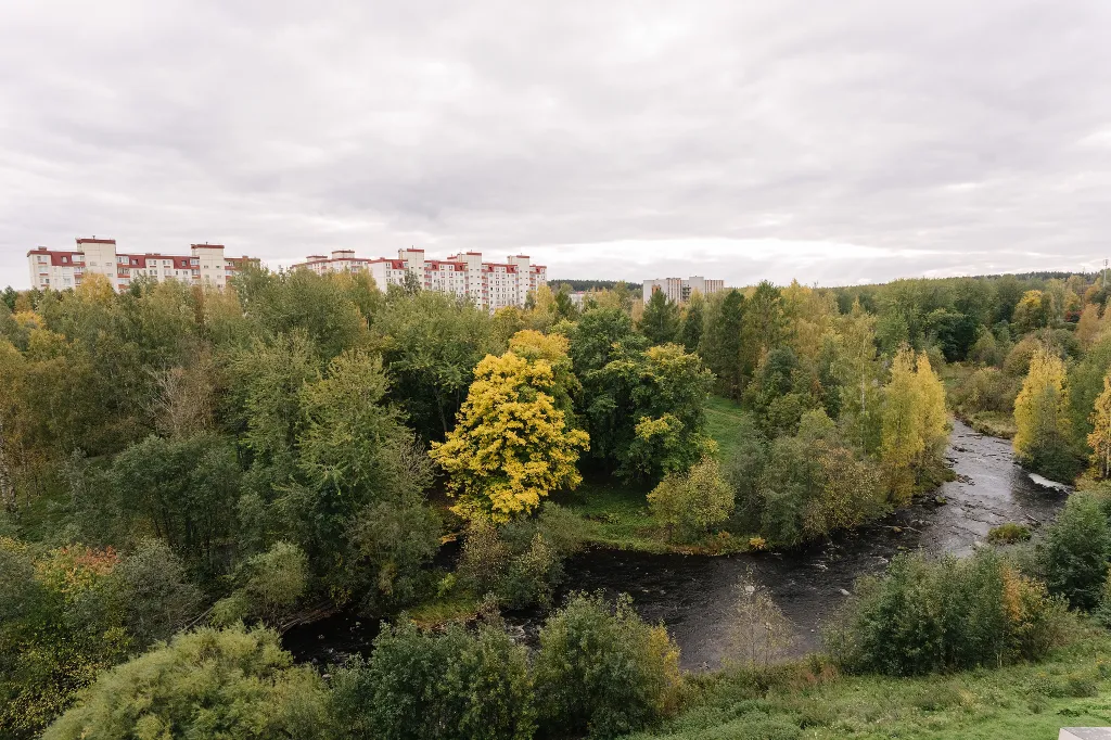 Просторные апартаменты с видом на речку