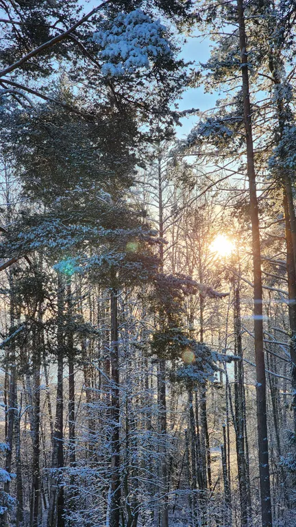 Коттедж Современный загородный дом со всеми удобствами рядом с озером — Борисово