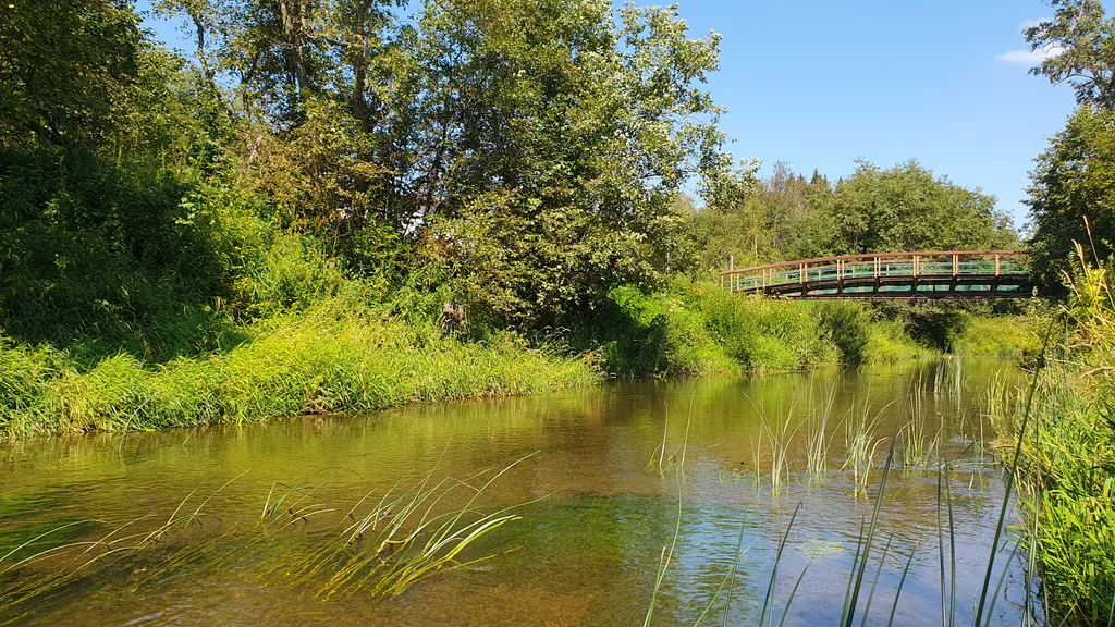Дом А-фрейм на речке под Клином