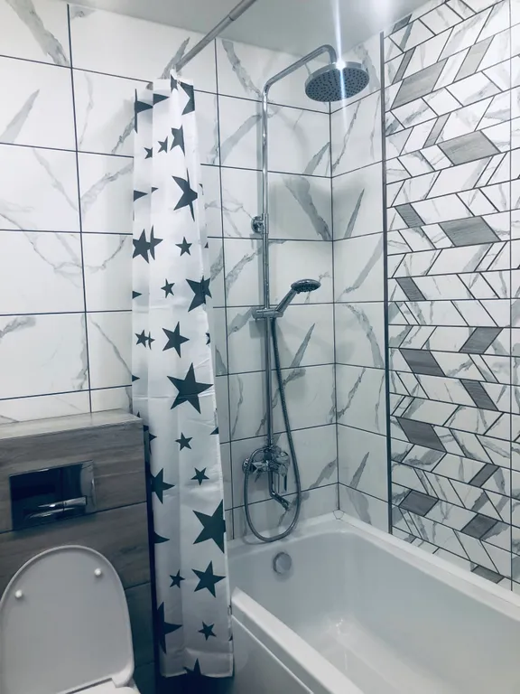 Отличная квартира-студия серый кот