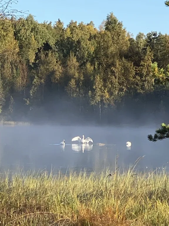 Шале и баня на 1 линии озера Красное, 2 километра от Финского залива, Пески
