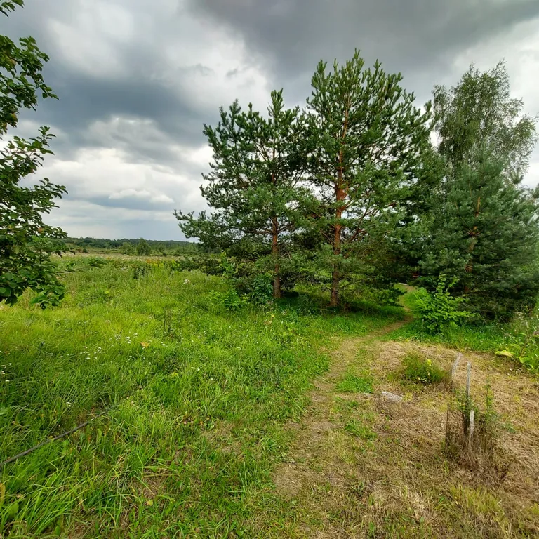 Уютный дом недалеко от Изборска