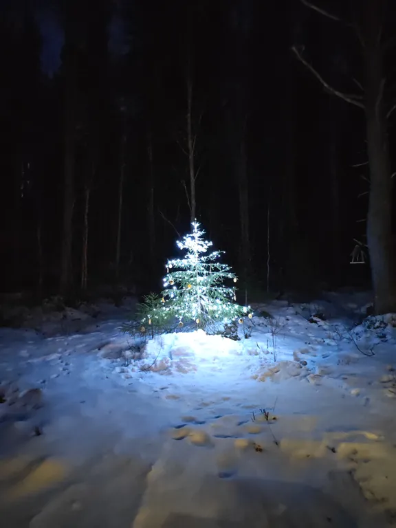 Домик Полесье