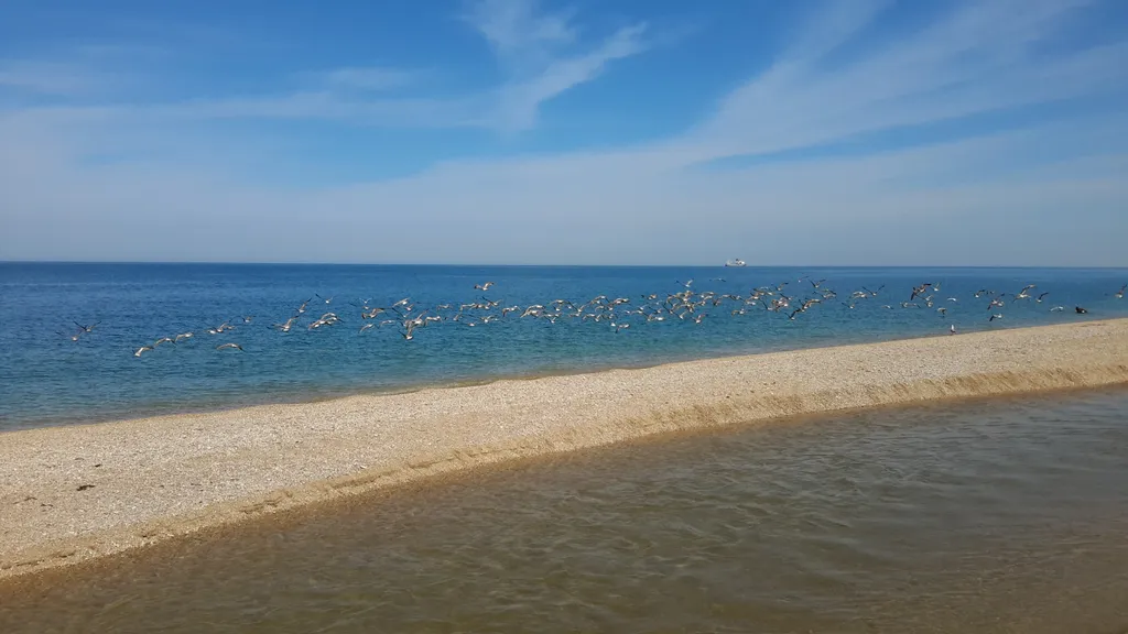 Пансионат "Любоморье", корпус 5