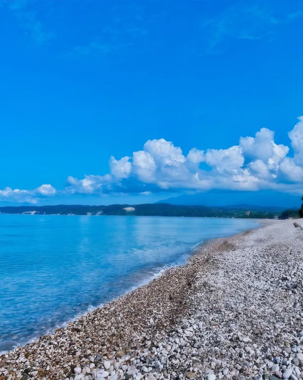 Роза Ветров