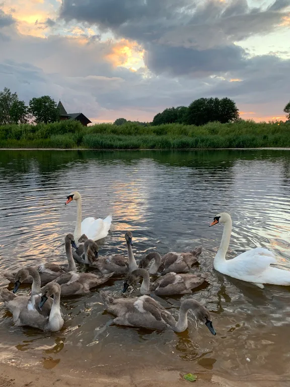 Уютный дом на берегу реки