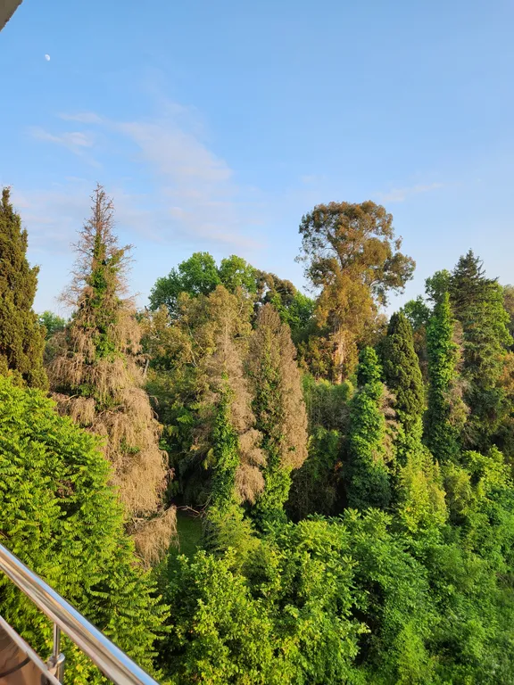 Уютная квартира возле моря