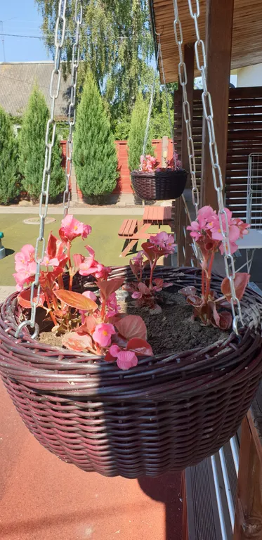 Коттедж Гостевой дом у Финского залива — Куккузи