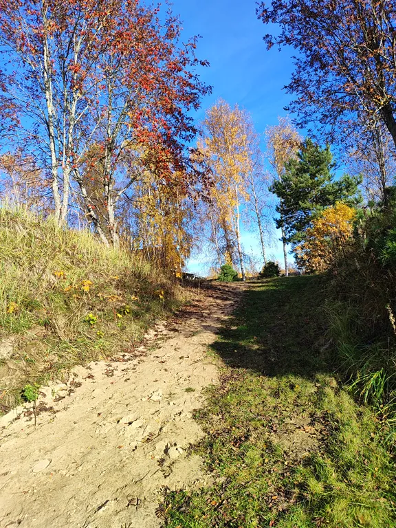 Ладога, Гостевой дом у воды в Кобоне