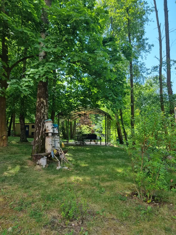 Квартира 1-комнатная Квартира — Светлогорск