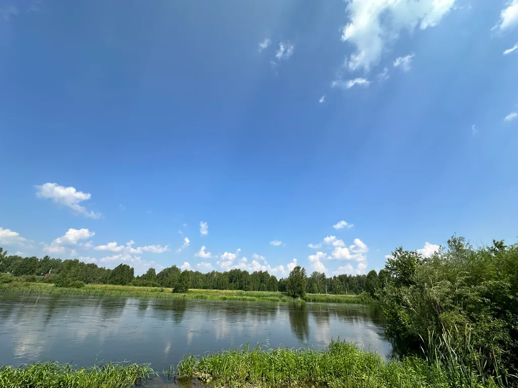 Треугольный дом А-фрейм рица