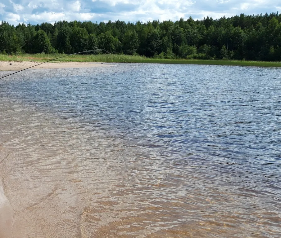 Коттедж Тёплый коттедж с баней на очень большой уединённой территории — Кротово