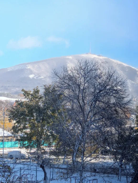 Уютная квартира с шикарными видами на горы