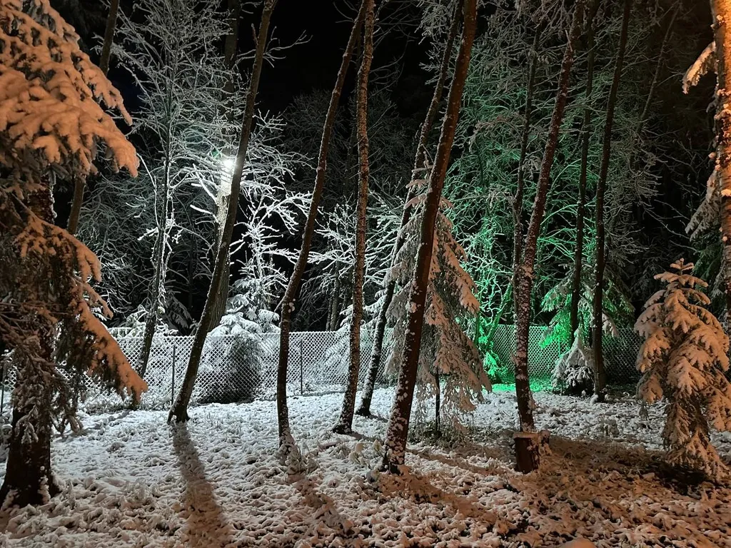 Шале в лесу в Подмосковье