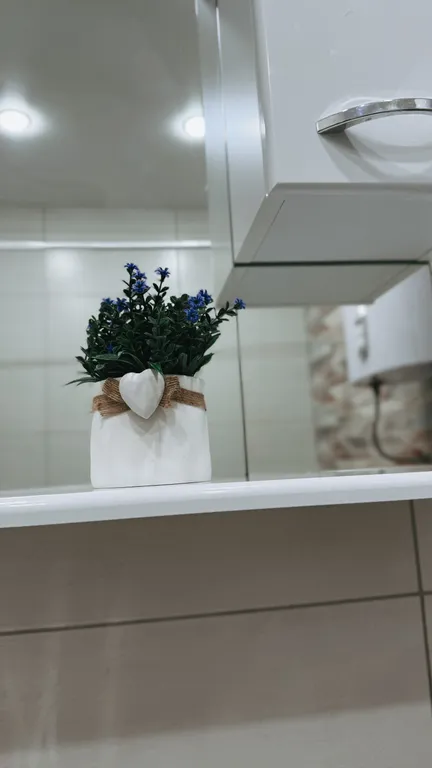 Новая квартира Новые сады