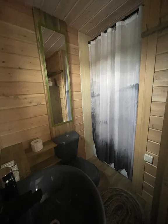 Дом на берегу реки, заснеженный лес, хаусбот