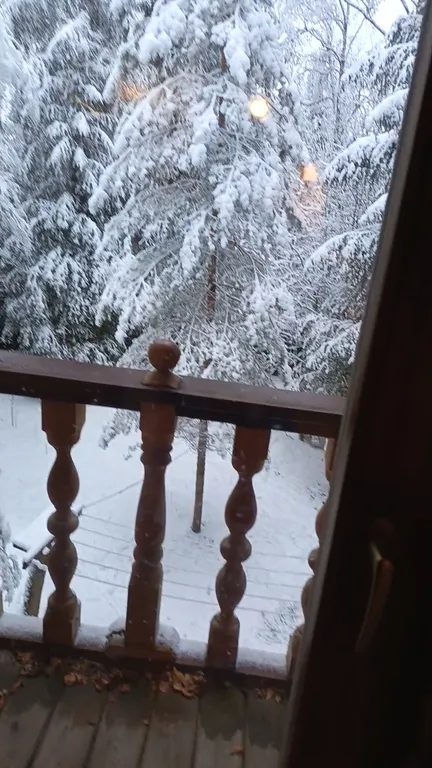 Изба (дом) из экологически чистого бревна под камышовой крышей в лесу