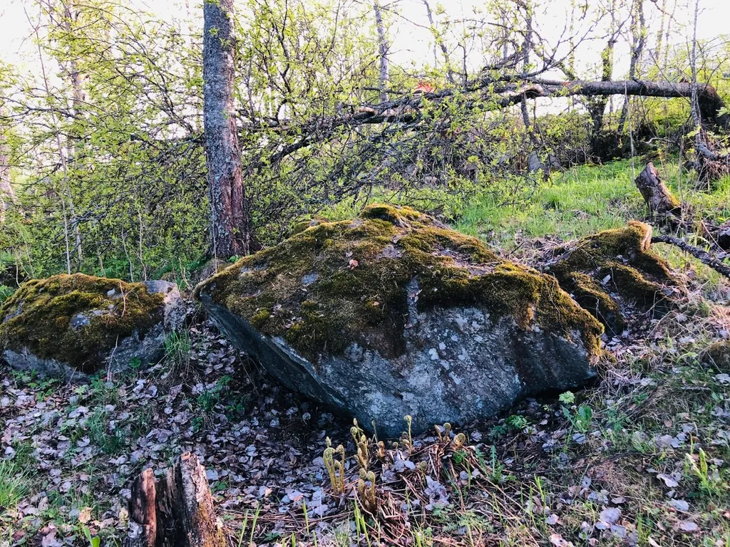 Коттедж Дом на берегу озера в Карелии — Куокканиэми