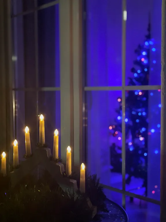 Квартира Квартира Раушен-Апарт — Светлогорск