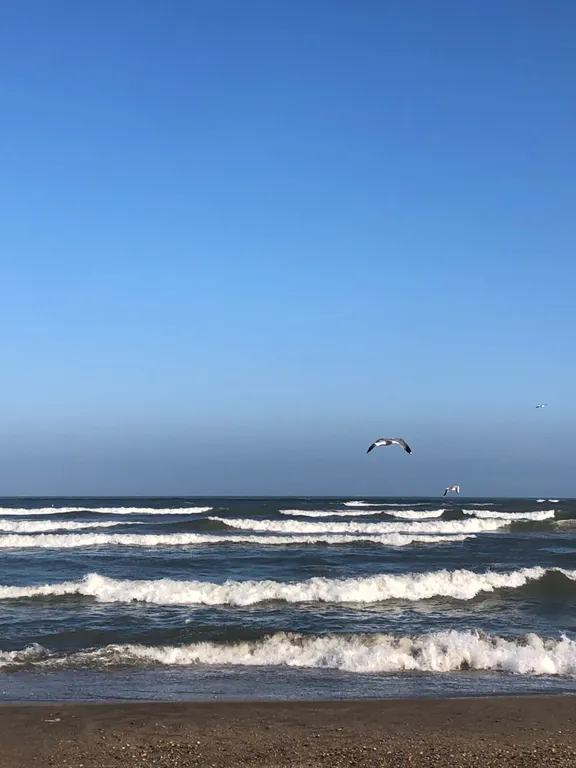 Апартаменты у моря, на первой береговой линии