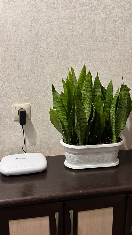 Отдельный уютный дом со всеми удобствами