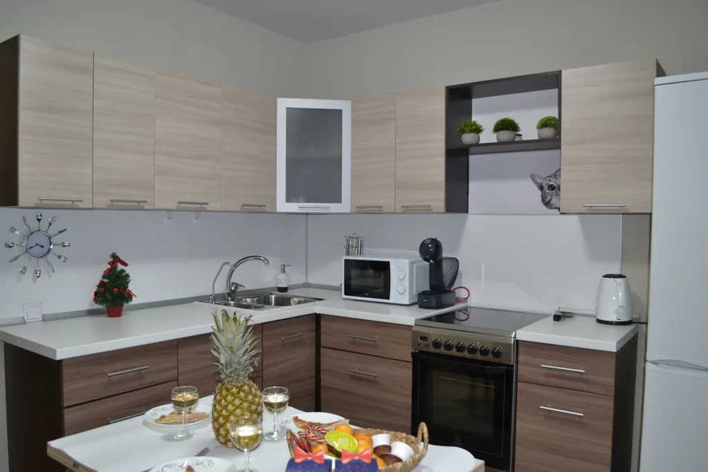 Квартира в Академическом cat home