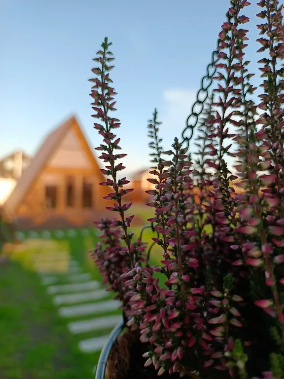 Дом на берегу Волги