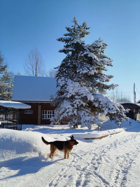 Коттедж 3-комнатный Дом — Кротово