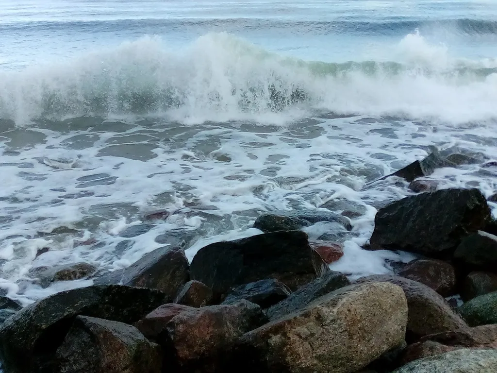 Квартира у моря, с видом на озеро и сосновый бор