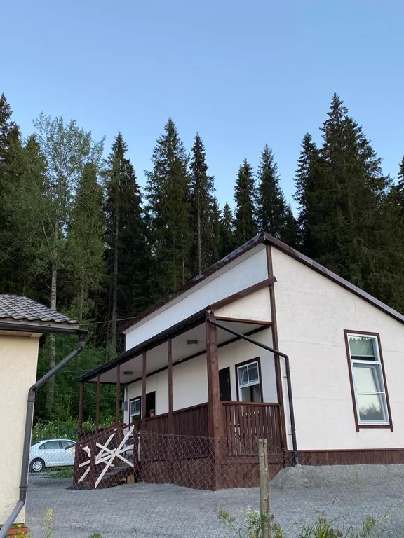 Апартаменты с видом на лес