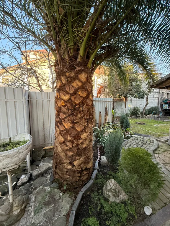 Дом под ключ в самом лучшем районе Сухума