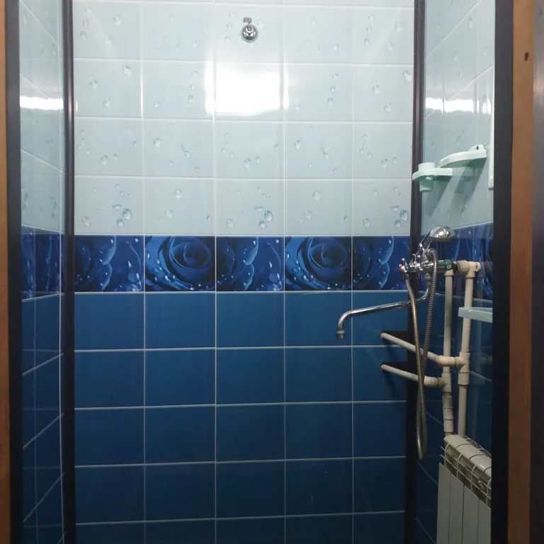 Отдых в Бузулукском бору круглый год с выходом в лес.