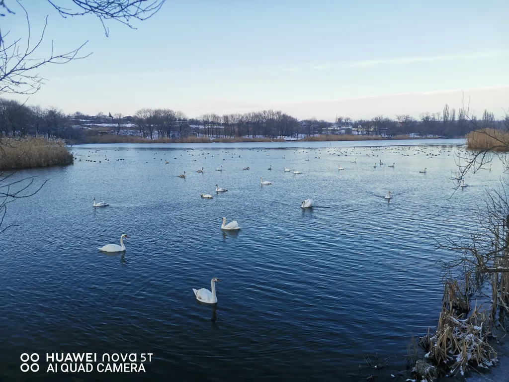 Уютный домик, вблизи с термальными бассейнами