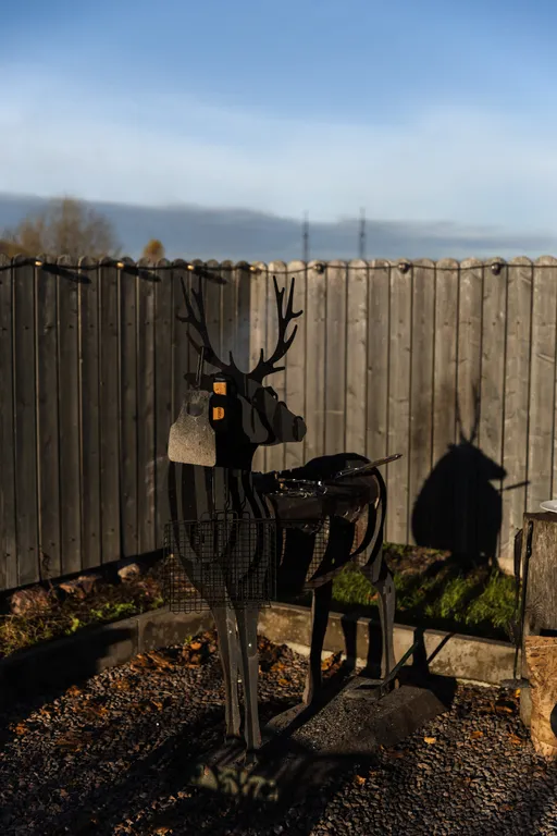 Лиса в шалаше в Тайцах