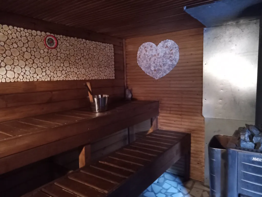 Дом в Карелии с печью-камином и видом на лес