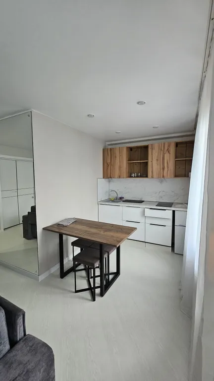 Удобная квартира-студия на Пограничке