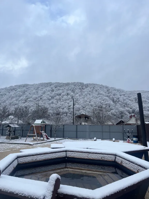 Дом-бар Борода