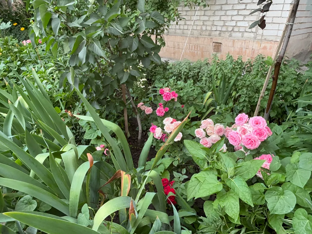 Удобная квартира рядом с Оби и ТЦ Парк хаус