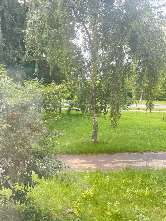 Апартаменты Sokol на набережной в пешей доступности к самому центру