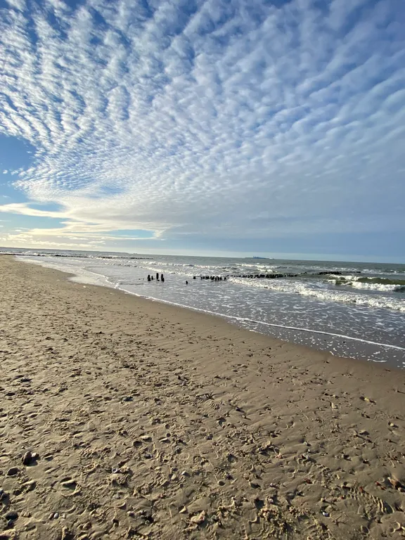 Квартира 1-комнатная Квартира — Зеленоградск