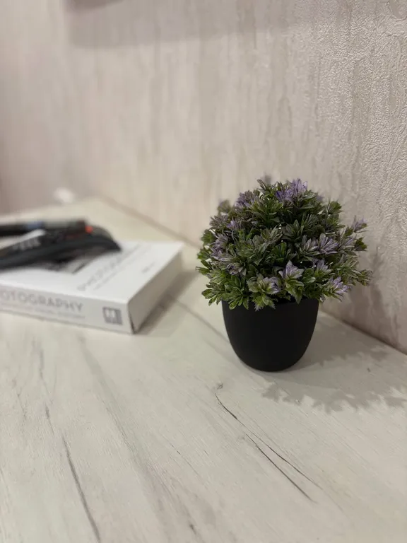 День Ночь - апартаменты на Тимирязева