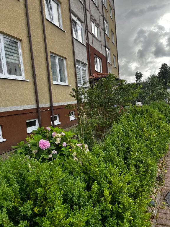 2-х комнатная квартира