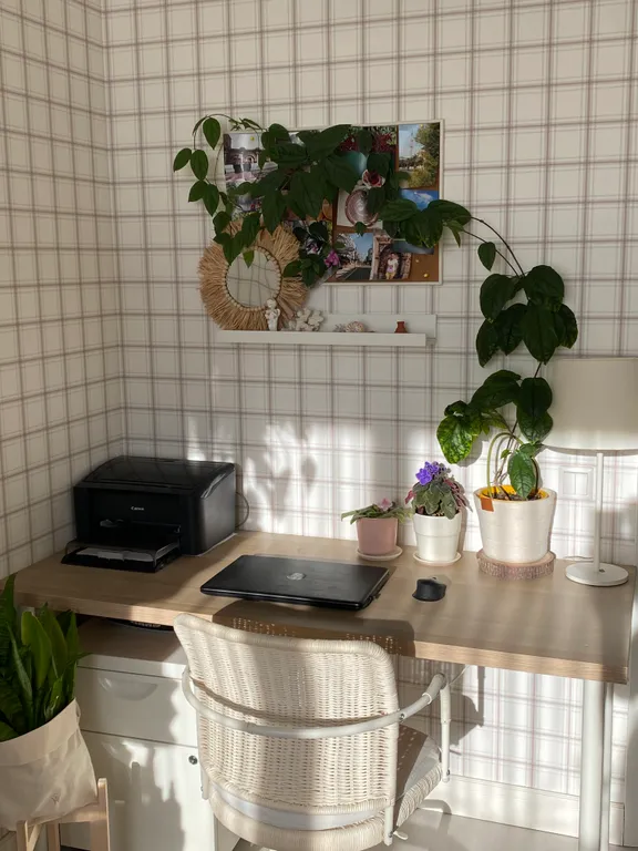 Рядом с лесом