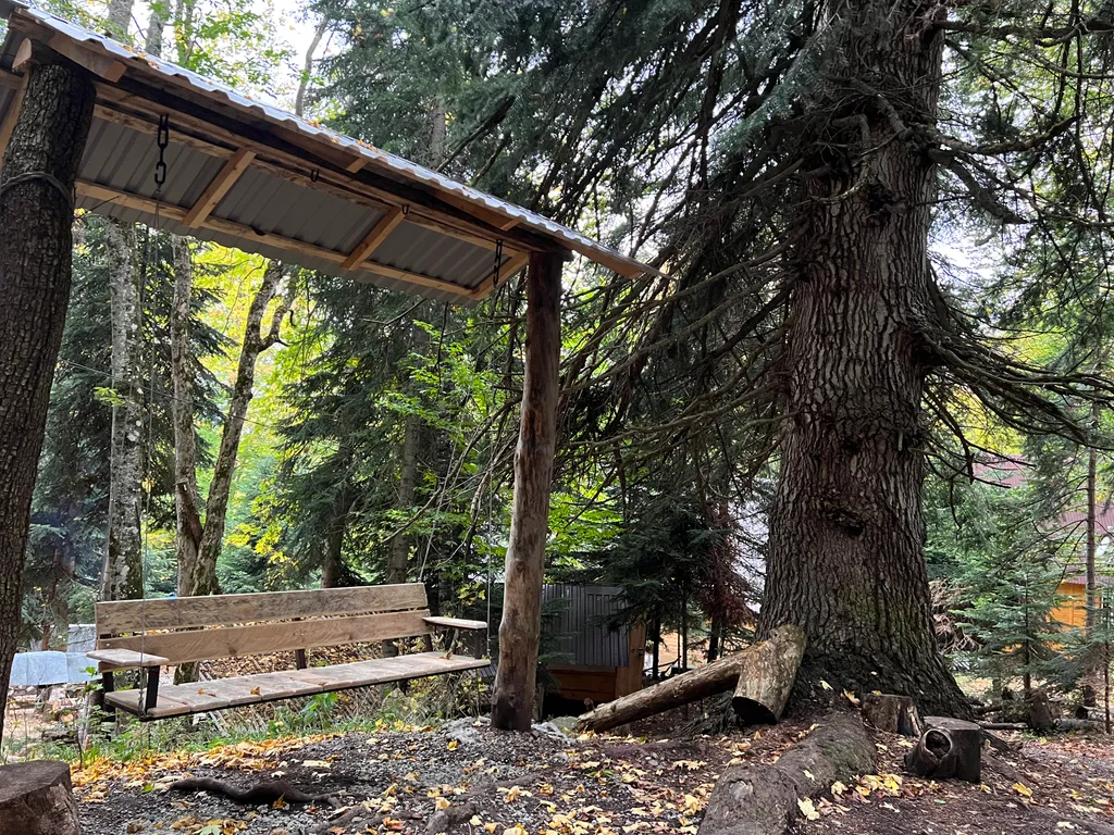 Горы, лес и уют — ваш отдых в Архызе начинается здесь