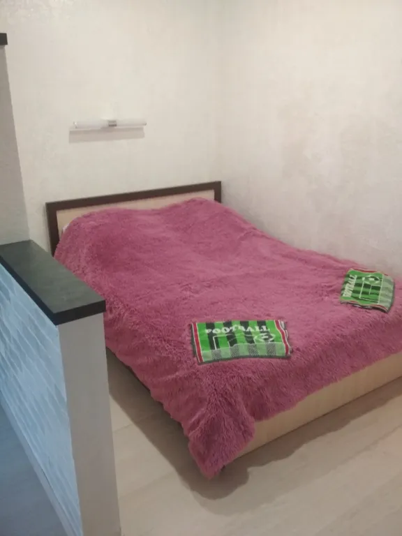 Квартира-студия в центре города