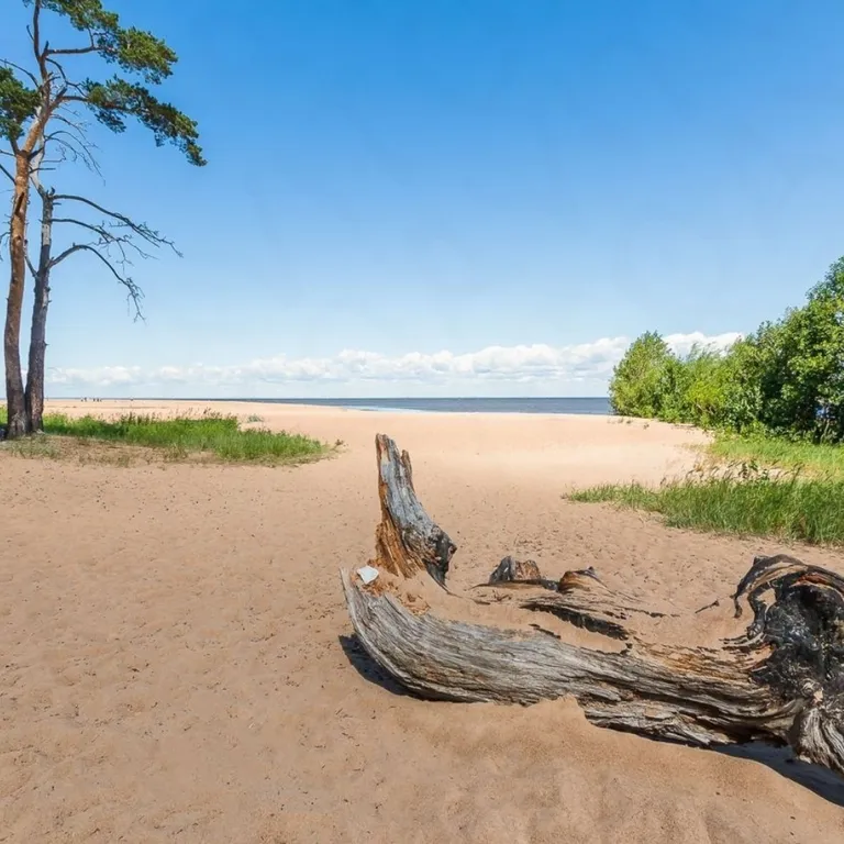 Коттедж с камином и отдельной баней