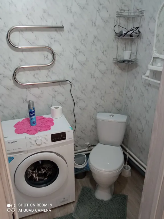 Семейный отдых  на окраине соснового леса