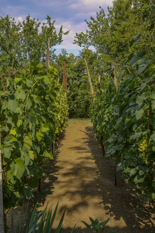Исторический дом на Дону